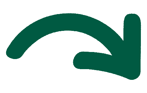 Green Arrow Sticker by Humane World for Animals