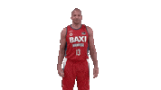 Liga Endesa Basketball Sticker by ACB