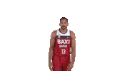 Vamos Liga Endesa Sticker by ACB