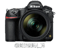 Nikoninstabadge D850 Sticker by NikonIndia