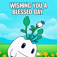 Love You Hearts GIF by Magic Eden