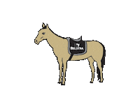 Horse Saddle Sticker by Belstra Milling Company