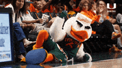 laying down college basketball GIF by Miami Hurricanes