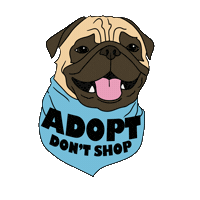 Pra Sticker by Pug Rescue of Austin