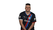 Holstein Kiel Fifa Sticker by Bundesliga