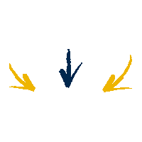 Seta Sticker by UniMAX