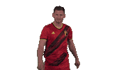 Red Devils Belgium Sticker by Royal Belgian FA