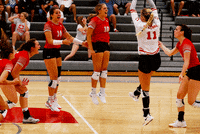CentralCollegeAthletics happy celebration win hug GIF
