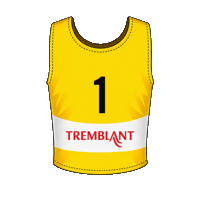 Sticker by Tremblant