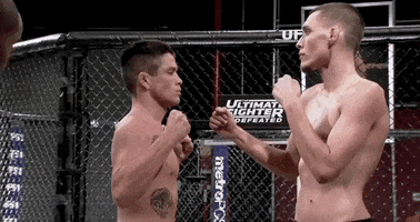 The Ultimate Fighter Hockey GIF by UFC