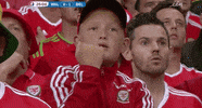 oh no euro GIF by Sporza