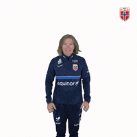 Czech Republic Yes GIF by Norges Fotballforbund