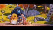 GIF by Signature Entertainment