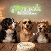 Happy Birthday Dog GIF by Görmek Lazım