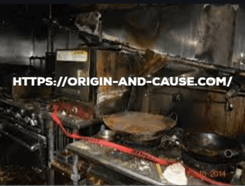 JDVNVN giphygifmaker forensic engine GIF
