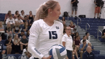 vb GIF by USUAthletics