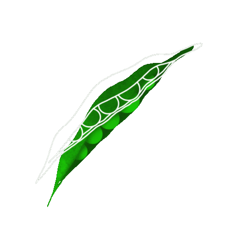 assenavGIF giphyupload assenav zoldseg borso Sticker