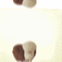 Synchronize Get Together GIF by TeaCosyFolk