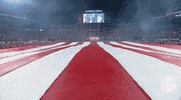 American Flag Football GIF by NFL