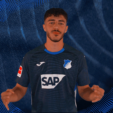 Sport Bundesliga GIF by TSG Hoffenheim