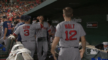 jd hug GIF by MLB