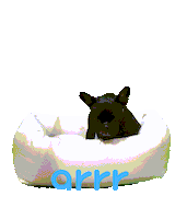 아르르 Sticker by arrr_official