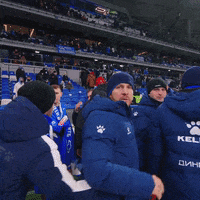 Football No GIF by FC Dynamo Moscow