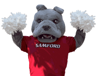 Happy Football Sticker by Samford University
