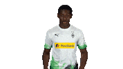 Borussia Moenchengladbach Wow Sticker by Bundesliga