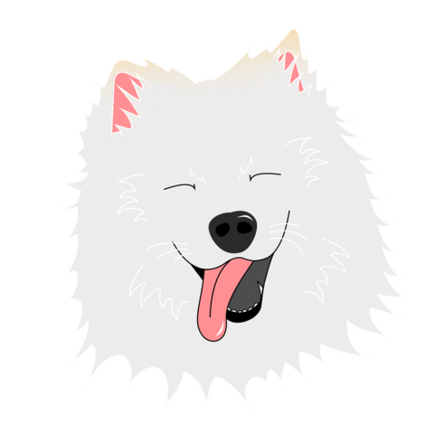 medienwerk_agentur giphyupload fluffy happydog samoyed Sticker