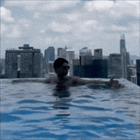 waqarali54 hasan hasanxbt hasantrades GIF