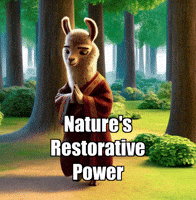 Forest Healing GIF by dalaillamazen
