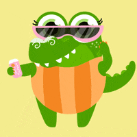 Sun Sunglasses GIF by University of Florida