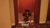 les twins GIF