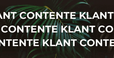 InterMediaContentMakers giphygifmaker flash magazine contentmaker GIF
