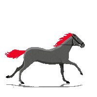 Sao Martinho Horse Sticker by Paladin