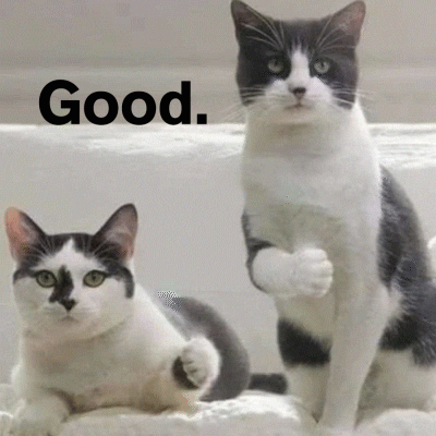 Photo gif. Two grey-and-white tuxedo cats, one lying down and one sitting up, hold their paws out as their tiny thumbs pop up. Text, "Good."