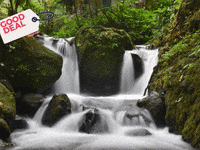 GIF by FranchiseONE.de