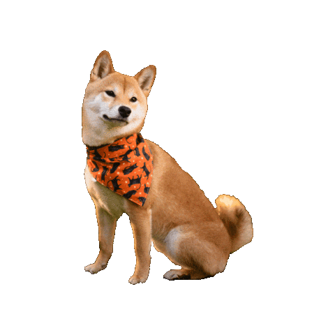 Shiba Inu Sticker by Geekster Pets