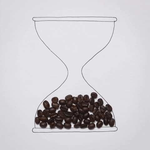 coffee beans GIF by cintascotch
