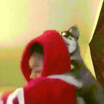 nyckush dog humping doggy dog she loves it GIF