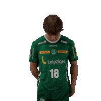 Handball Peter Sticker by DAIKIN HBL