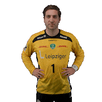 Handball Leipzig Sticker by DAIKIN HBL