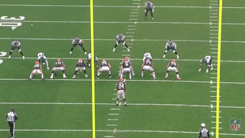 nfalato11 giphyupload GIF