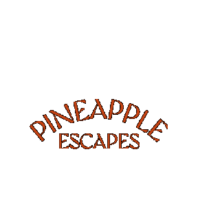 Pet2025 Sticker by pineappleescapes