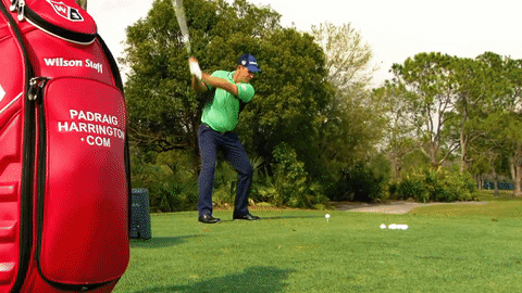 GIF by Wilson Golf