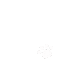 TippyTails shop now tippytailsuk tippy tails Sticker