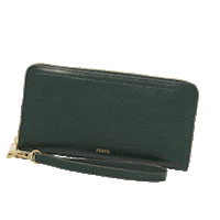 Accessories Watches Sticker by Fossil