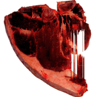 glitch montreal GIF by Death Orgone