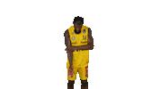 Ewe Baskets Basketball Sticker by EWE Baskets Oldenburg